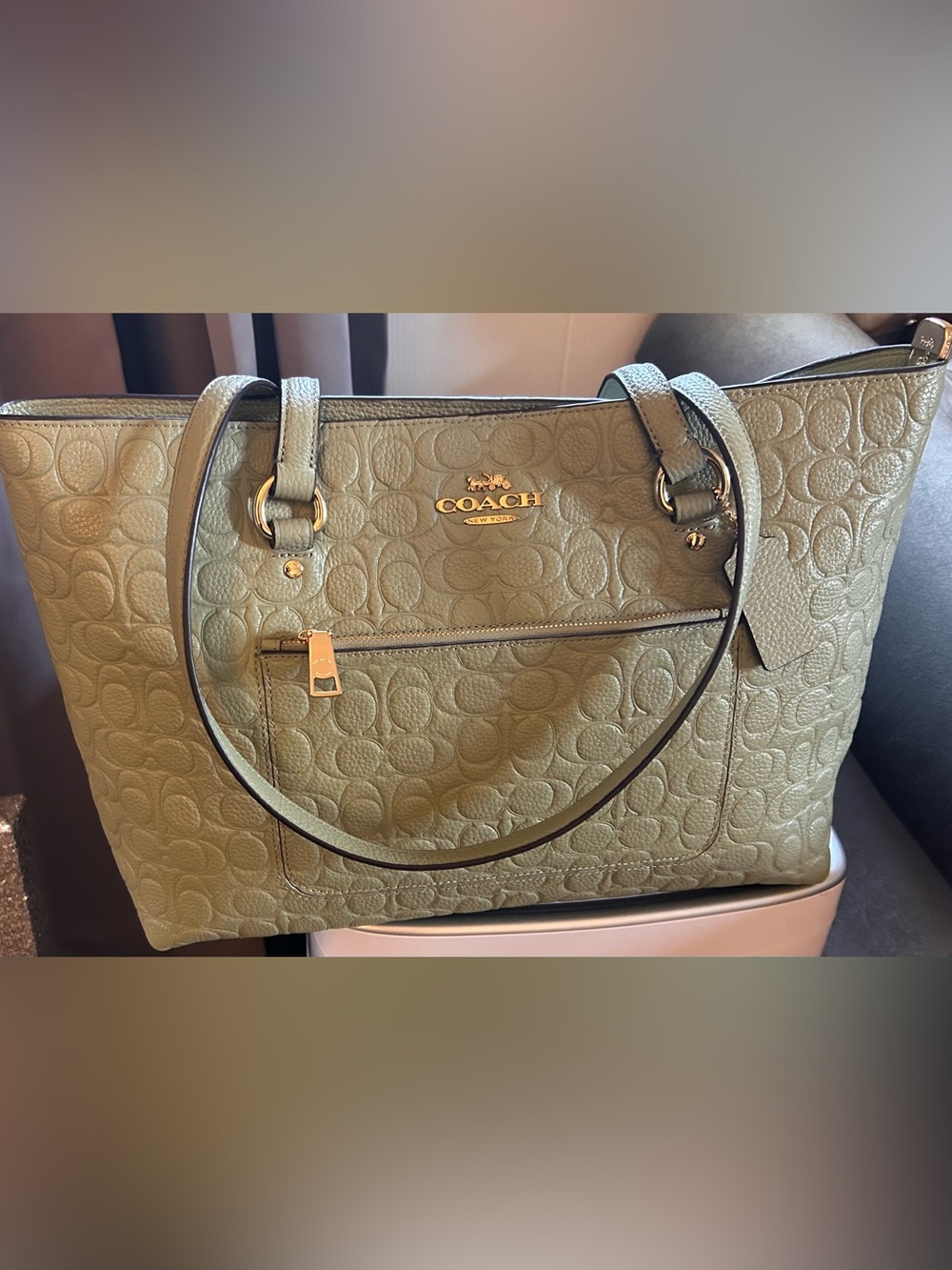Coach Signature Pistachio Station Tote